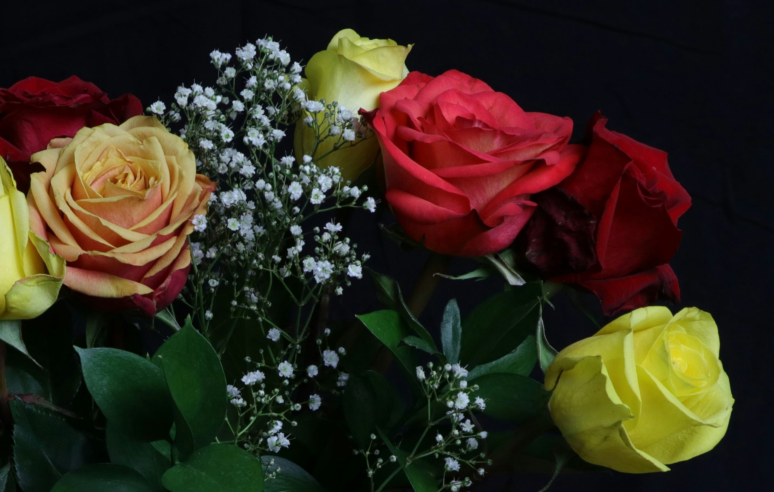 Dark photo of close-up to red and yellow rose bouquet