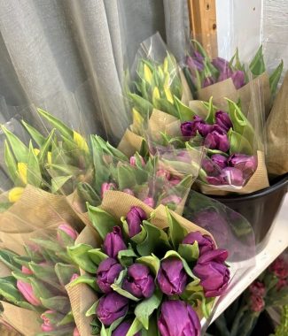 Spring Tulip Wrap