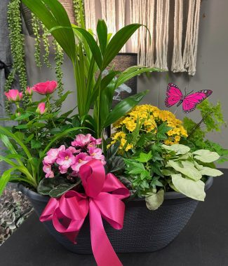 Indoor Garden range