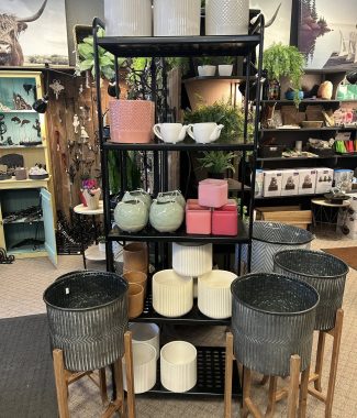 Modern Planter Display
