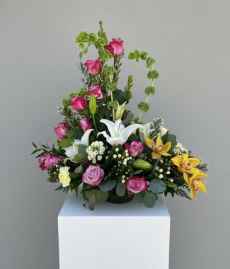Peaceful Tribute